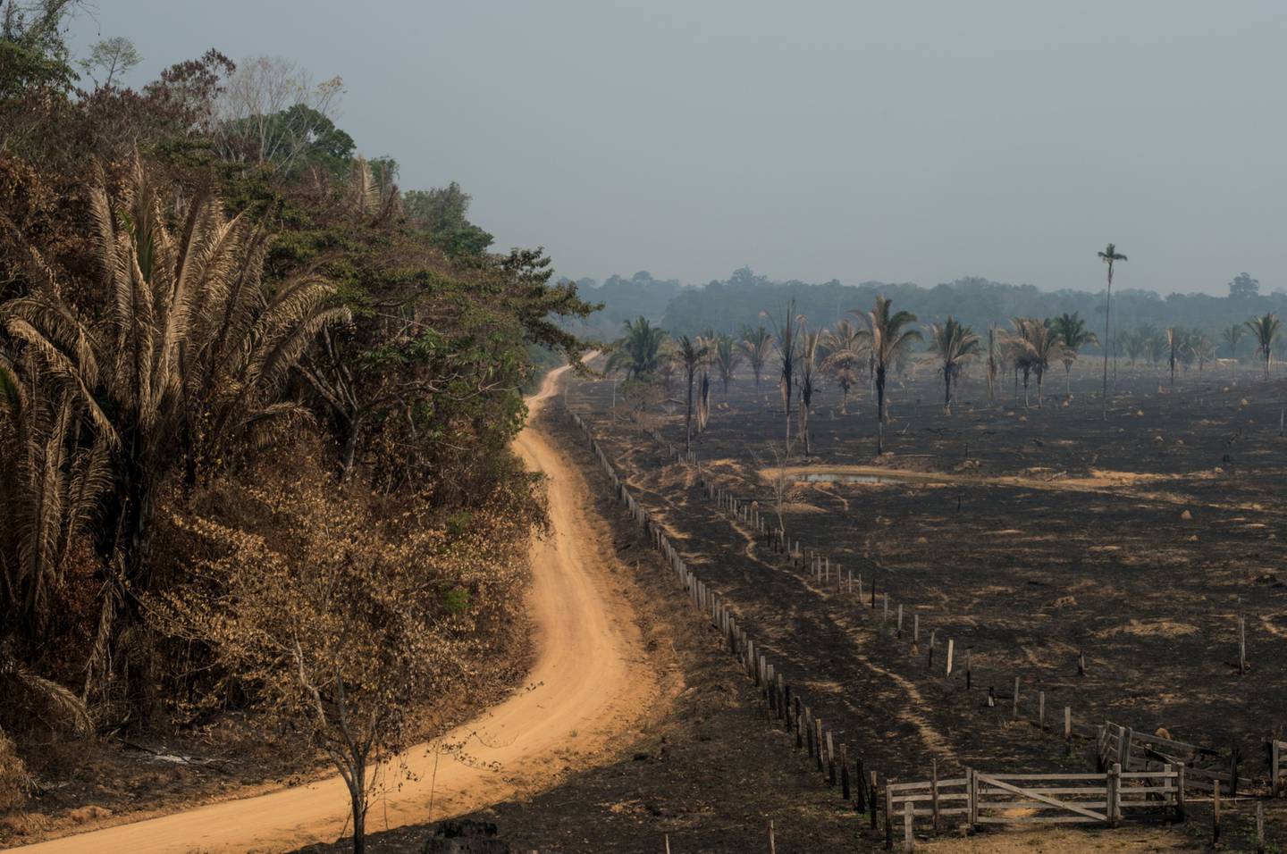 Daños de los incendios en el estado de Rondonia, Brasil.