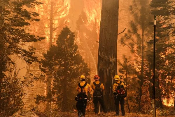 El incendio Caldor de California se acercó el lunes a un popular destino turístico alpino en el norte de California, lo que llevó a las autoridades a ordenar la evacuación de la ciudad turística de South Lake Tahoe.