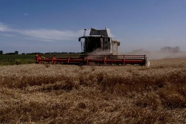 Gobierno busca acelerar la liquidación de granos