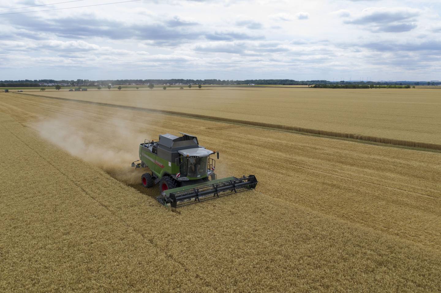 A combine harvester in a field of wheat.dfd