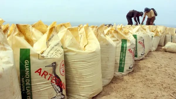 Compra de fertilizantes en Perú: Gobierno adjudicará cuarto proceso a otra empresadfd