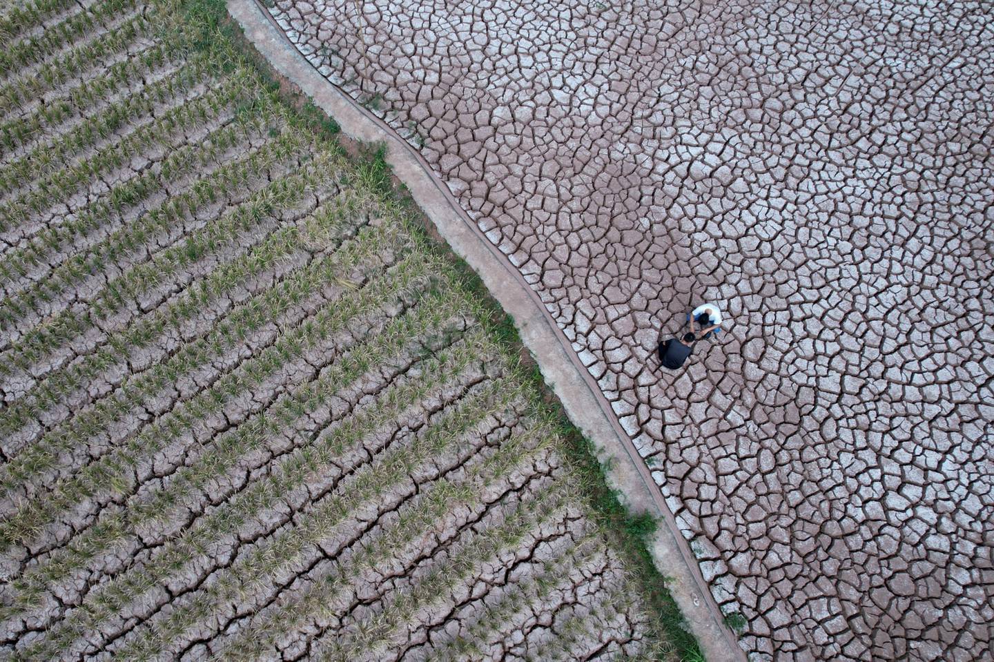 Campo agrietado por la sequía en la provincia de SIchuan el 26 de agosto.