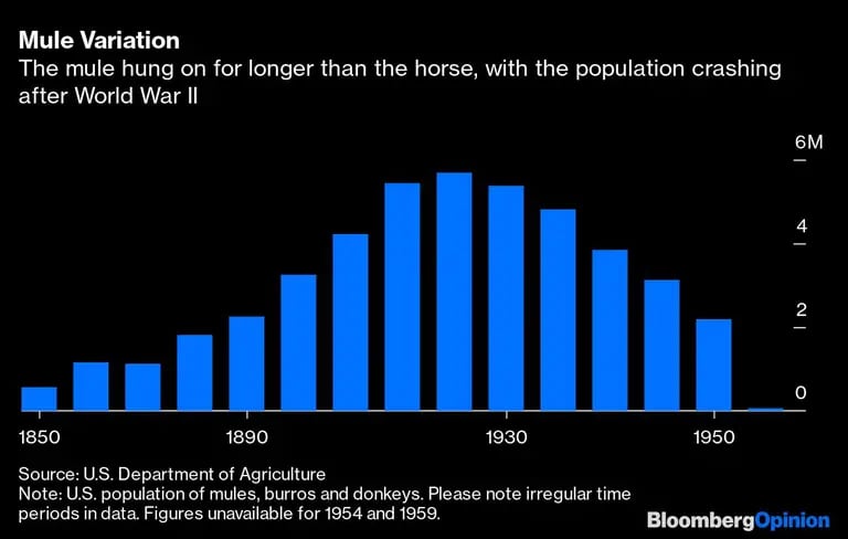 La mula se mantuvo durante más tiempo que el caballo, y la población se redujo después de la Segunda Guerra Mundial.dfd