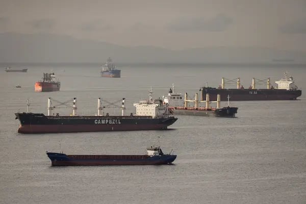 buques cerealeros esperan las inspecciones frente a las costas de Estambul