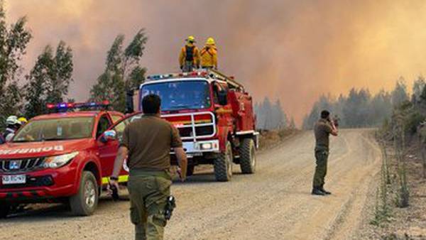 Chile detiene a 10 personas acusadas de provocar mortíferos incendios forestalesdfd