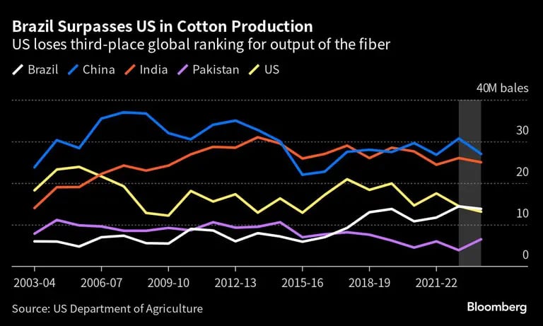 Brazil Surpasses US in Cotton Production | US loses third-place global ranking for output of the fiberdfd