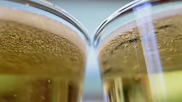 Bioceres apunta ahora a elaborar la primera cerveza transgénica del mundodfd