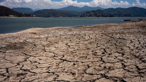 Rotoplas incrementa ventas en México ante una mayor demanda por la sequíadfd