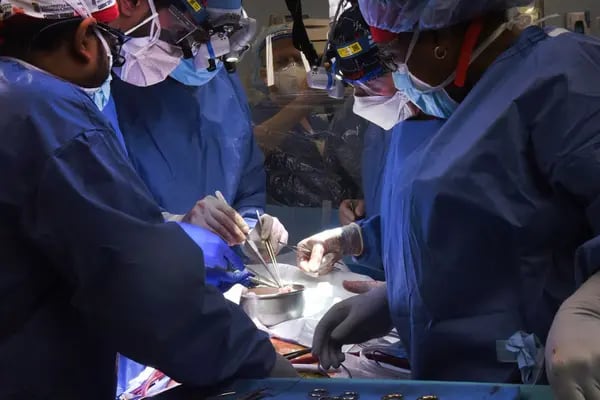 A surgical team performed the transplant of a pig's heart into David Bennett this Monday (10)