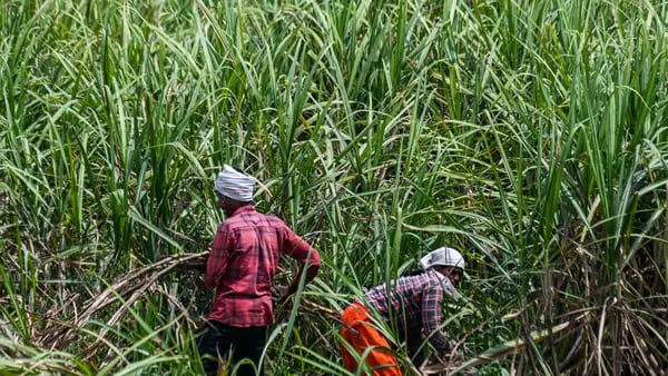 Índia avalia destinar volume maior de açúcar à produção de etanol, dizem fontesdfd
