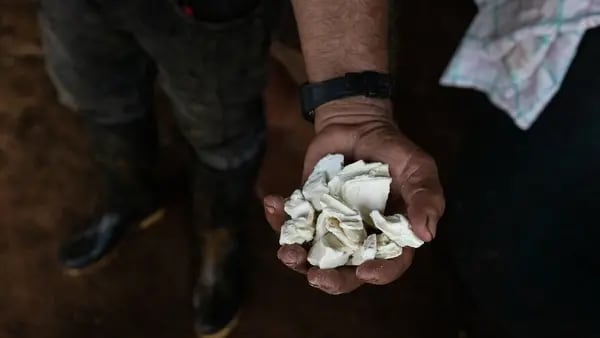 Cocaína pode superar petróleo como principal exportação da Colômbiadfd