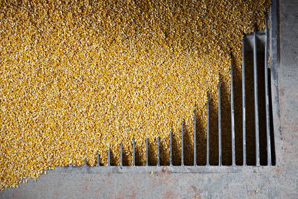 Precios de granos y crudo ceden y podrían atenuar la inflación alimentariadfd