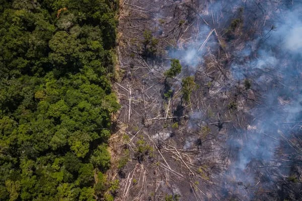 El humo se eleva sobre la selva amazónica, fuera de una reserva indígena, en esta fotografía aérea tomada cerca de Jundia, estado de Roraima. Brasil, el lunes 28 de enero de 2019.