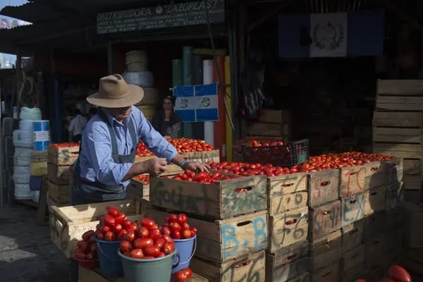 Entre los cinco principales gastos básicos que registraron la mayor incidencia positiva se encuentra el tomate.