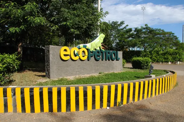Many investors are concerned Ecopetrol is missing out on a lucrative opportunity to produce as much oil as it can before global demand goes into decline.
