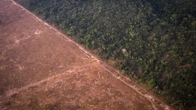Iniciativa defende a proteção da Amazônia