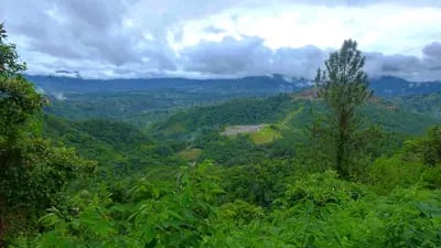 Zona donde se desarrollará la explotación de oro a cielo abierto por Orla Mining LTD. y su subsidiaria Minera Cerro Quema S.A. , en la provincia de Los Santos, península de Azuero, Panamá.