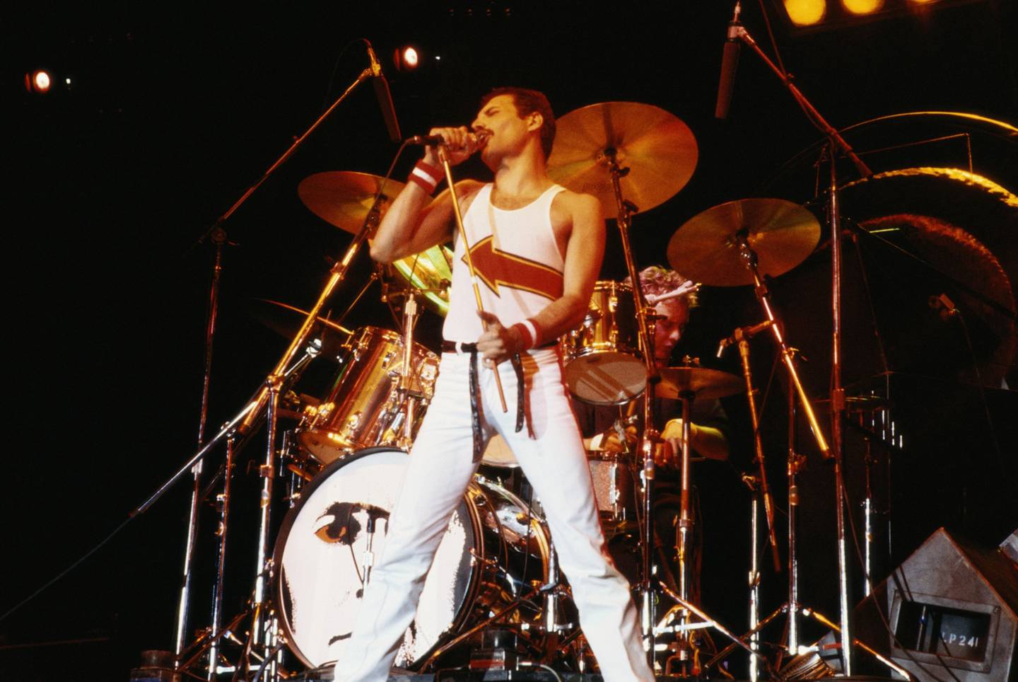 Freddie Mercurydfd