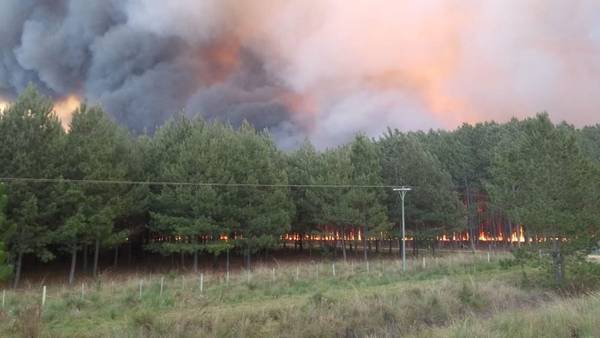 Arde una provincia argentina: se quemó el 3,8% de la superficie total de Corrientesdfd