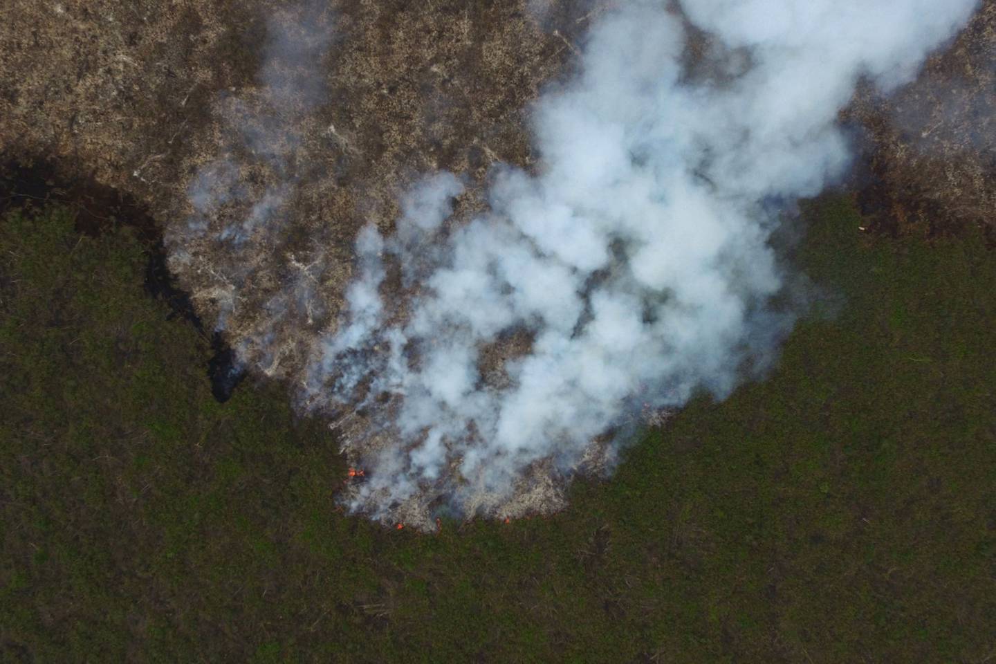 Incendio forestal en Indonesia