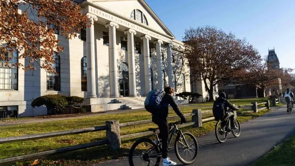 Inscrições em Harvard caem 5% enquanto pares como Yale têm recorde de candidatosdfd