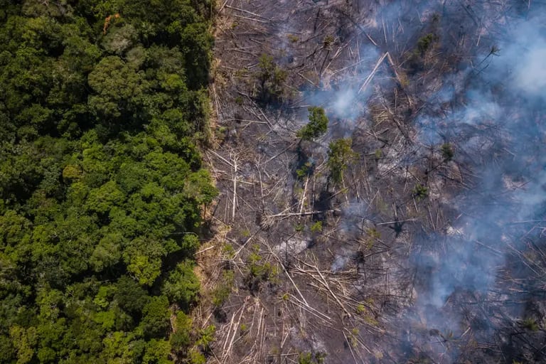 El humo se eleva sobre la selva amazónica, fuera de una reserva indígena, en esta fotografía aérea tomada cerca de Jundia, estado de Roraima. Brasil, el lunes 28 de enero de 2019.dfd