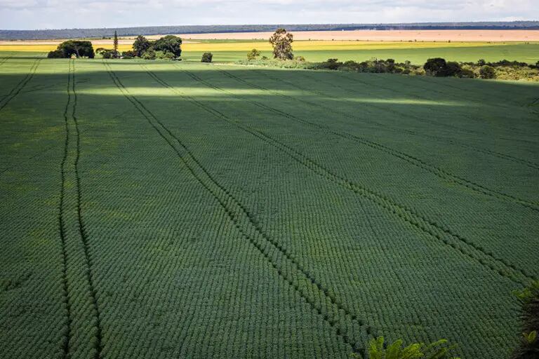 Entrega de fertilizantes nas fazendas pode atrasar devido a problemas logísticos e aumento da demanda no hemisfério nortedfd