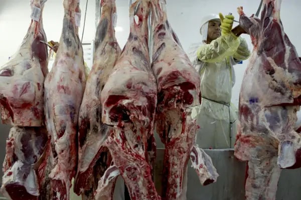 Argentina podría volver a exportar carne a China.