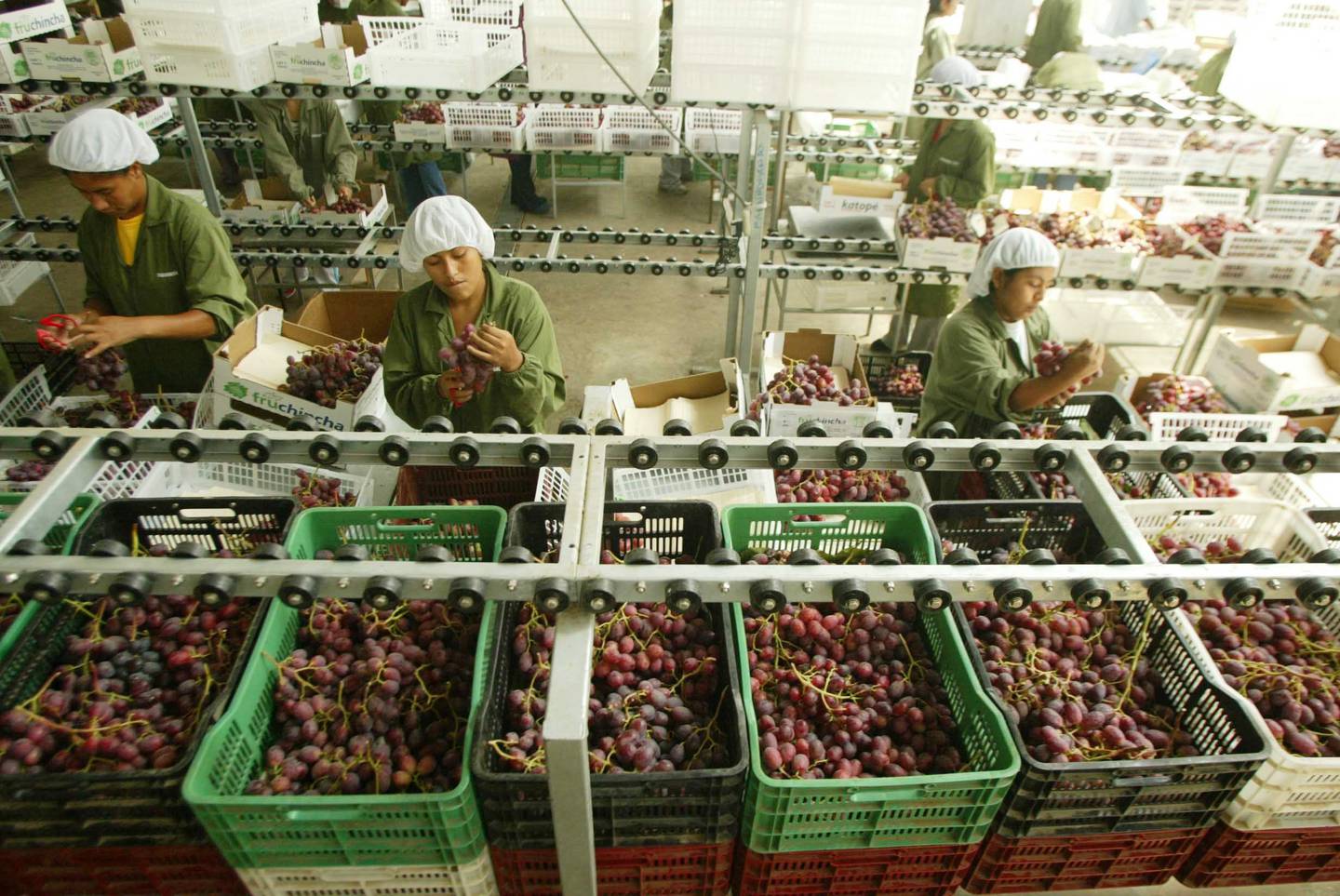 Exportaciones de uvas peruanas.dfd