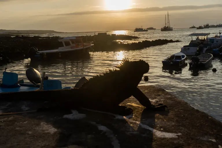El presidente ecuatoriano Lasso firmó un decreto que amplía en casi un 50% la zona marina protegida en torno a las Islas Galápagos. Fotógrafo: Johis Alarcón/Bloombergdfd