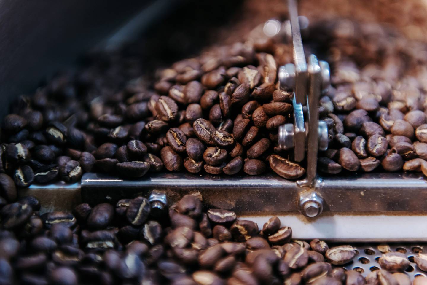 Los granos de café se tuestan en el laboratorio de investigación y desarrollo Roastery Lab by Cofdfd