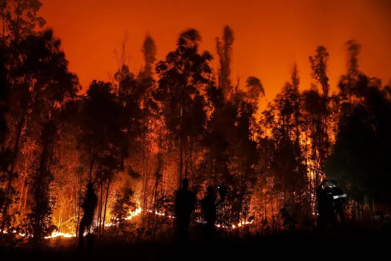 Un incendio en la Araucanía, Chile, el 4 de febrero de 2023. Foto: Javier Torres/AFP/Getty Imagesdfd