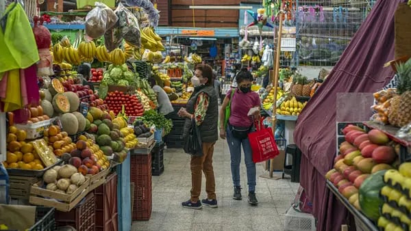 En mayoristas ya comenzó el descenso de los precios de los alimentos en Colombiadfd