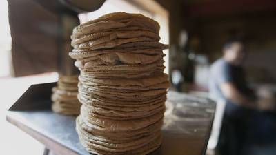 La Estrategia del Día: Precio de la tortilla, el aguacate, la apreciación del peso y Chris Rockdfd