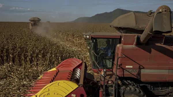 China aumenta compras de maíz a Brasil mientras disminuyen exportaciones de EE.UU.dfd