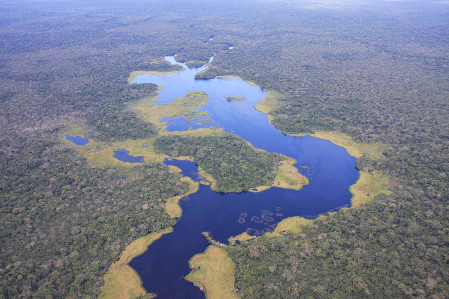 El Parque Nacional Yasuní tiene 1’022.736 hectáreas de extensión y fue creado en 1979, además fue declarado Reserva de Biosfera en 1989 por la Unesco
