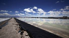 Projeto em Minas Gerais marca entrada do Brasil no mercado global de lítio