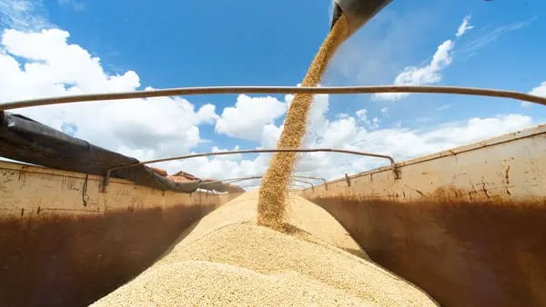 Cosecha de soja argentina no encuentra piso y BCR recorta su estimación para el 2023dfd