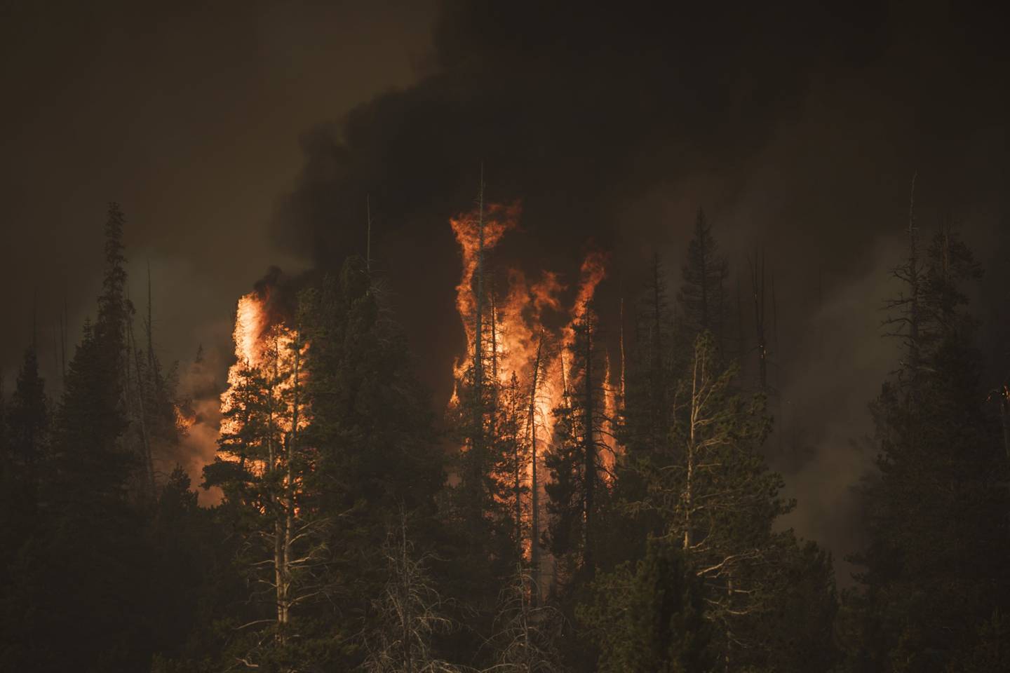 Los árboles arden durante el incendio de Caldor en Kirkwood, California, EE.UU., el jueves 2 de septiembre de 2021. Los bomberos lograron mantener un voraz incendio forestal lejos de South Lake Tahoe durante la noche y tenían la esperanza de que los vientos más calmados ayudaran a los esfuerzos para proteger la ciudad turística alpina.