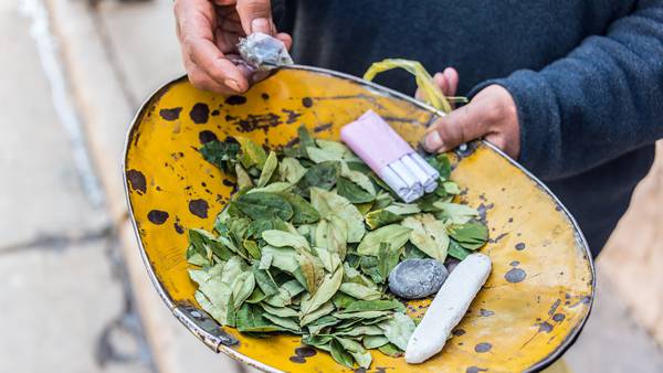 Bolivia sigue invirtiendo en industrias de hoja de coca pese a pérdidas al Estadodfd