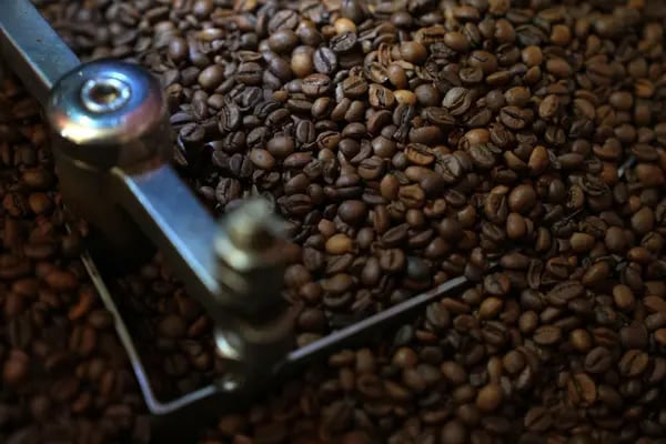 Granos de café en Colombia