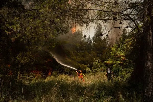 Bomberos de Eslovaquia trabajan para extinguir un incendio forestal cerca del pueblo de Avgaria, en la isla de Evia, Grecia, el martes 10 de agosto de 2021. Fotógrafo: Konstantinos Tsakalidis/Bloomberg