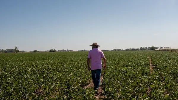 Falta de gasoil en Argentina: escasez de diésel causa estragos en inicio de cosechadfd