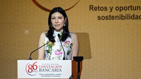 OPI de Banamex se haría en el mercado mexicano, dice Victoria Rodríguezdfd