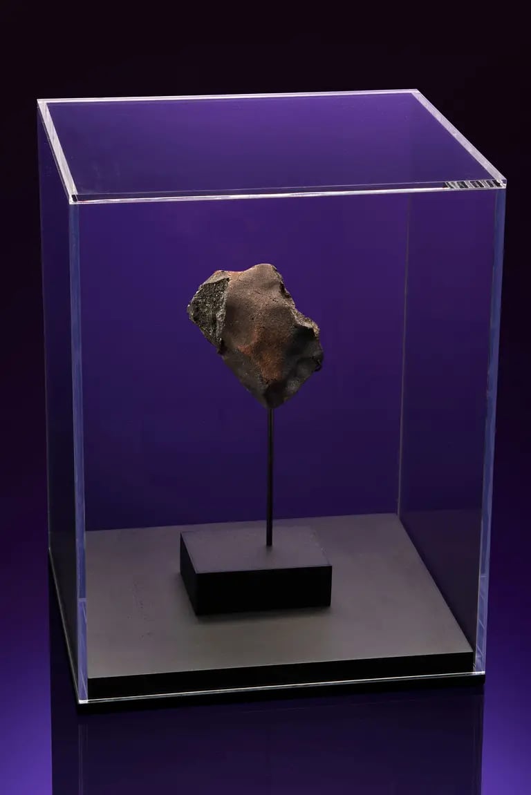 Este meteorito casi golpeó a Roky, un pastor alemán costarricensedfd