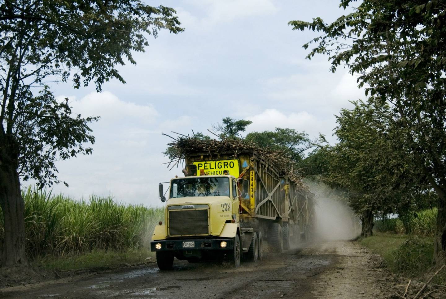 Monómeros suministra al sector agropecuario colombiano más del 45% de los fertilizantes, según medios locales.
dfd