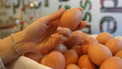 Not Cheaper By the Dozen: Central American Inflation Reflected In Egg-Price Hikedfd