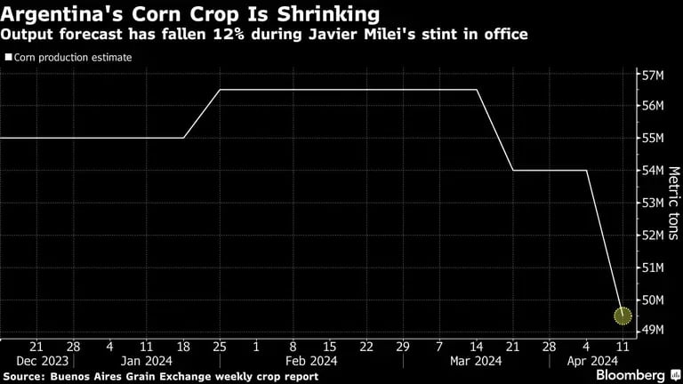 Estimativas para a colheita de milho na Argentina têm sido reduzidas ao longo das últimas semanasdfd