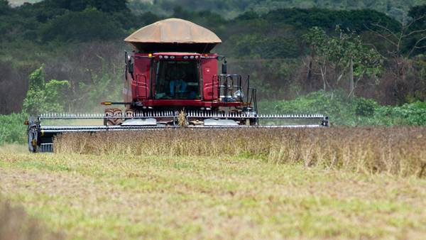 Precios de los fertilizantes suben y anticipan más inflación alimentariadfd
