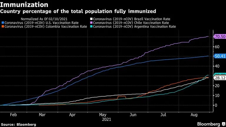 A linha branca representa a porcentagem da população completamente imunizada no Brasil, 28,12%. Por completamente imunizada entende-se quem tomou as duas doses ou a vacina de dose únicadfd